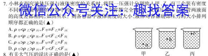 安徽省2023-2024学年下学期八年级教学质量检测（2月）数学