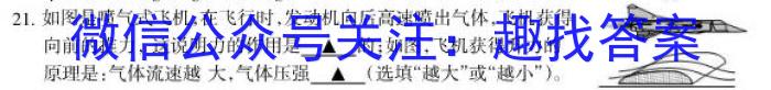 河北省2023~2024学年高三(上)期中考试(24-165C)数学