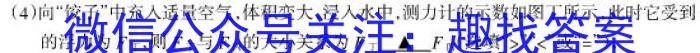 景德镇市2023-2024学年下学期期中质量检测卷（高一）数学