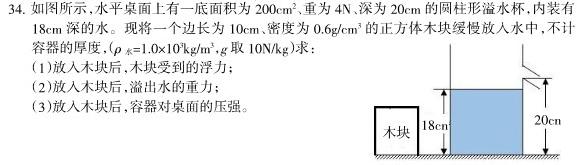 成都石室中学2023-2024学年度上期高2025届期末调研考试数学.考卷答案