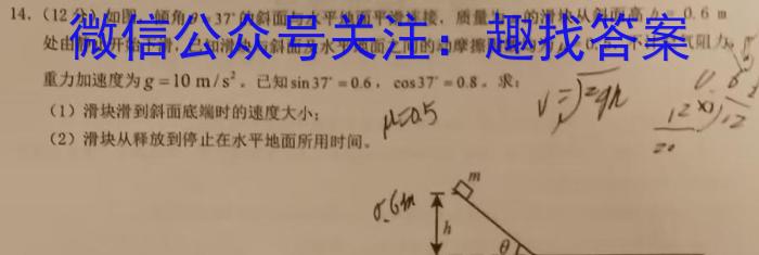 河南省2023-2024学年度高三一轮复习阶段性检测（四）数学.