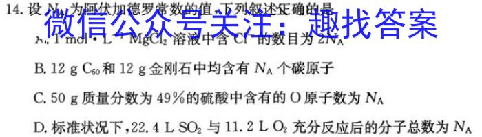 安徽省淮北市2024-2023学年度第二学期八年级绿色发展质量均衡检测化学