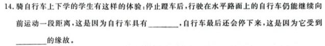 安徽省池州市2023～2024学年度八年级开学考试数学考试
