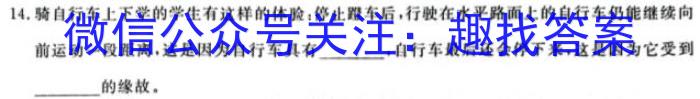 安徽省合肥市肥东县2022-2023学年第二学期七年级阶段性学情调研.物理