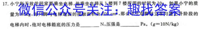 安徽省太和县民族中学2023秋九年级期中综合测评考试数学