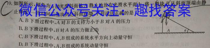 江西省2024届九年级初中目标考点测评（十三）数学.