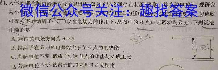 2024年安徽省初三年级最后一卷(二)2数学