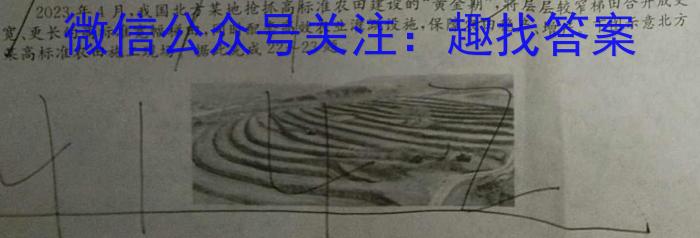2024届河南省高三阶段性考试(24-68C)政治~