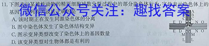 [国考1号1]第1套2024届高三暑期补课检测(一)生物试卷答案