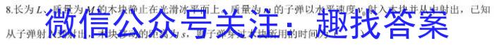 炎德英才大联考 长沙市一中2024届高三月考试卷(一)物理`