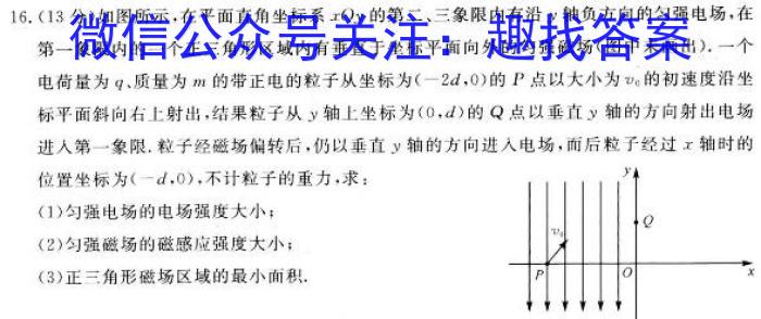 2024年湖南省初中学业水平考试模拟试卷(五)数学