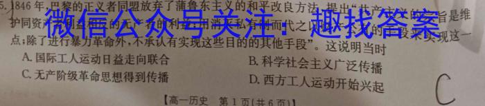 河南2024届高三年级8月入学联考（23-10C）理科数学试卷及参考答案&政治