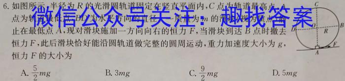 河南2024届高三年级8月入学联考（23-10C）物理试卷及参考答案物理`