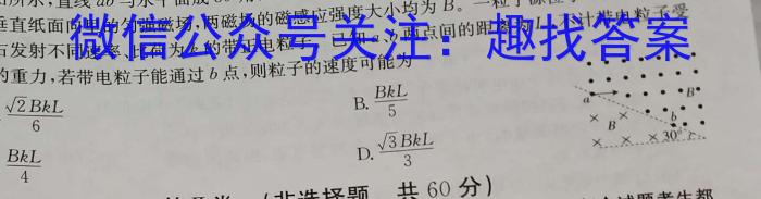 安徽省2024届九年级阶段评估1L