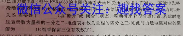 安徽第一卷·2023-2024学年安徽省八年级教学质量检测(12月)数学h