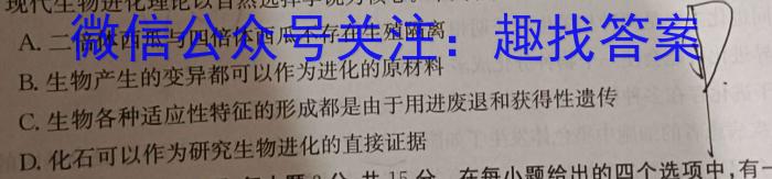 湖北省高中名校联盟2023-2024学年高三上学期第一次联合测评生物试卷答案