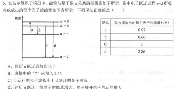 安徽省枞阳县2023-2024学年度七年级第二学期期末质量监测试题(数学)