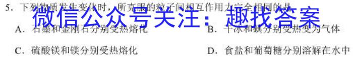 安徽省合肥市肥东县2024-2023学年第二学期七年级阶段性学情调研化学