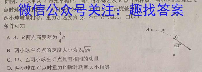 江西省2023-2024学年度九年级期中练习(二)数学.