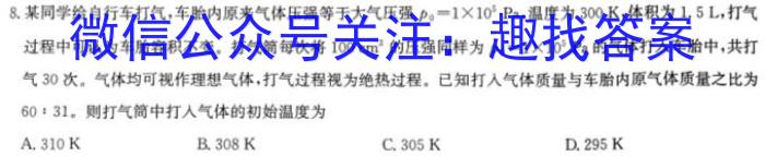 衡水金卷·2024届高三年级4月份大联考（新教材）数学