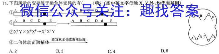 全国大联考 2024届高三第二次联考 2LK-N生物