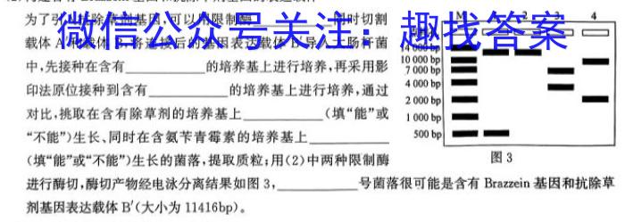 2024届全国高考分科调研模拟测试卷(一)XGK生物