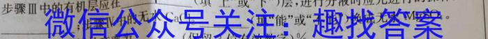 32024届全国高考分科调研模拟测试卷化学