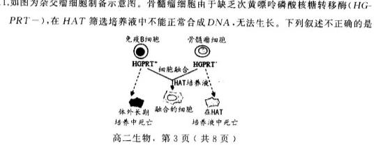 河南2024届高三年级8月入学联考（23-10C）理科数学试卷及参考答案生物