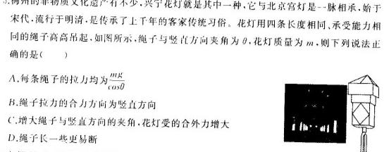 2024年普通高等学校全国统一模拟招生考试新未来高三11月联考数学.考卷答案