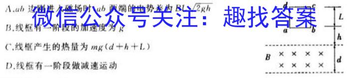 文博志鸿·河南省2023-2024学年九年级第一学期学情分析二B数学