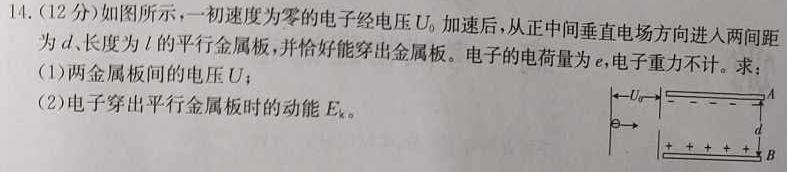 陕西省2024届高三期末质量监测考试数学.考卷答案