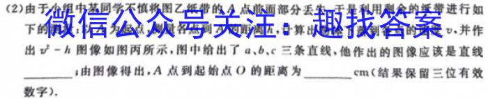 2024届内蒙古省高三试卷10月联考(24-60C)数学