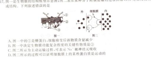 湖南省岳阳县第一中学2023-2024学年高三上学期入学考试生物