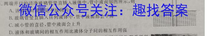 甘肃省2024-2025学年度第一学期第二次月考试题（高三）数学