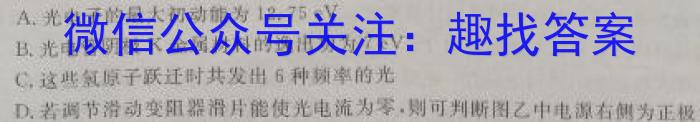 安徽省2024年普通高等学校招生全国统一考试(模拟)数学