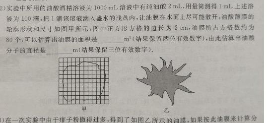 1号卷·A10联盟2025届高二上学期11月联考数学.考卷答案