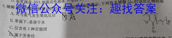 3湖北省2024届高三年级8月联考（24-03C）化学