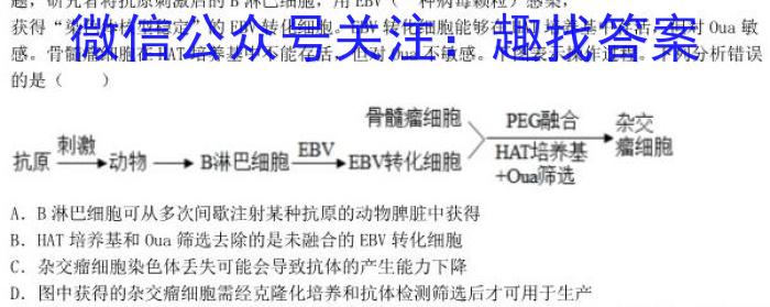 河南省2024届高三年级八月名校联合考试生物试卷答案