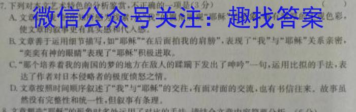 湘豫名校联考 2023年8月高三秋季入学摸底考试语文