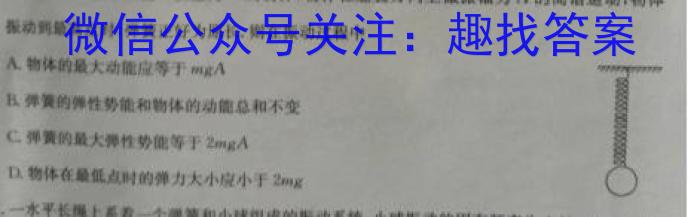 2024届河南省九年级第七届名校联盟考(CZ114c)数学