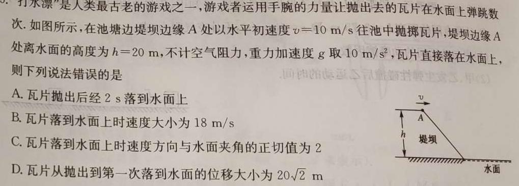 安徽省2024年叶集区九年级联考（三）试题卷数学.考卷答案