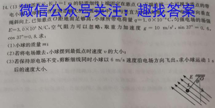 安徽省2024年秋学期九年级开学考·试题卷数学