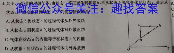 安徽省2024年九年级教学质量检测试题数学