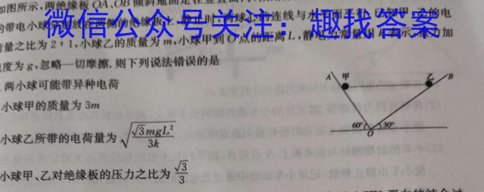 2023-2024学年广西省高一选科调考第二次联考数学