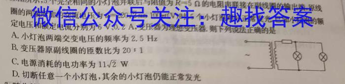 河北省2023年NT20名校联合体高一年级12月考试数学