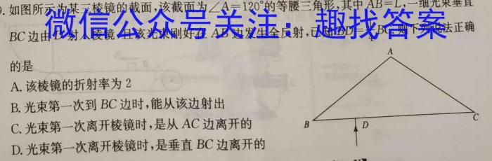 临沂市2022级普通高中学科素养水平监测试卷(2024.7)数学