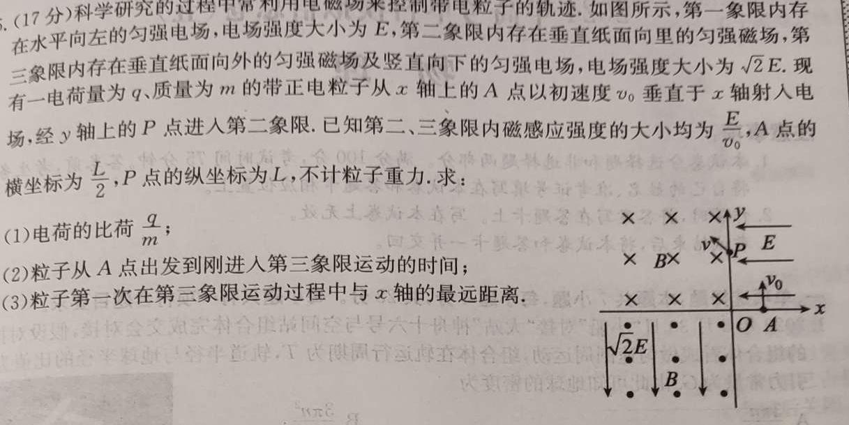 安徽省淮北市2023-2024学年度第一学期九年级质量检测数学.考卷答案