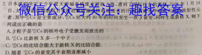 河南省2024届高三名校联考入学摸底考试(24-10C)q物理