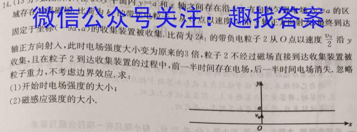 2024年河南省普通高中毕业班高考适应性测试（3月）数学