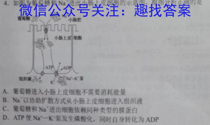 2024届浙江省强基联盟高三仿真模拟(一）23-FX13C生物